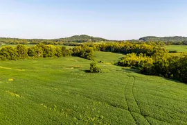 60 Acres, Lincoln County, MO, Recreational