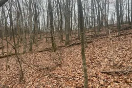 20 Acres, Montgomery County, MO, Recreational